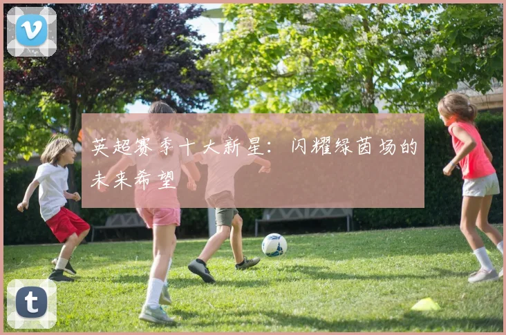 英超赛季十大新星：闪耀绿茵场的未来希望