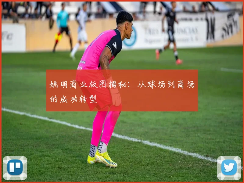 姚明商业版图揭秘:从球场到商场的成功转型